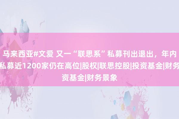 马来西亚#文爱 又一“联思系”私募刊出退出，年内刊出私募近1200家仍在高位|股权|联思控股|投资基金|财务景象