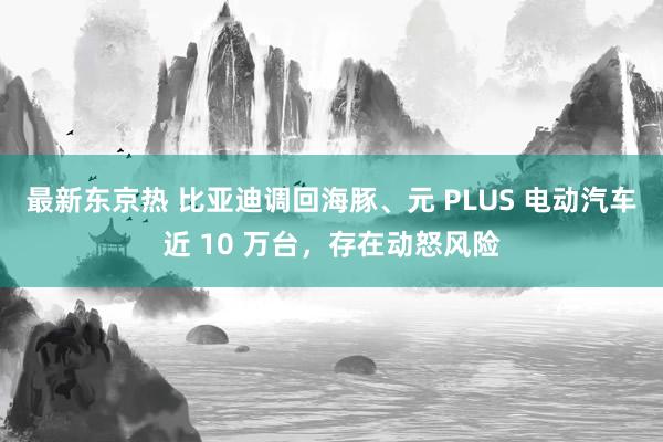 最新东京热 比亚迪调回海豚、元 PLUS 电动汽车近 10 万台，存在动怒风险